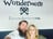 @wondermoreescape
