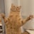 @dukefromearth