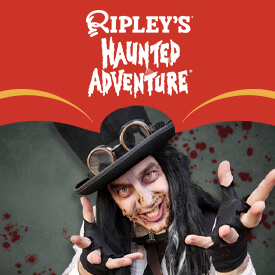 Ripley's Believe It or Not!