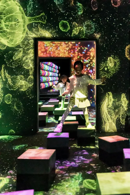 teamLab