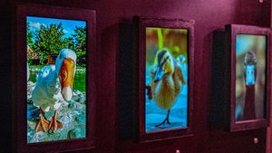 AdventureRooms