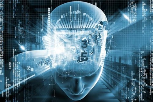 Brain In A Cage - Escape Room Livorno