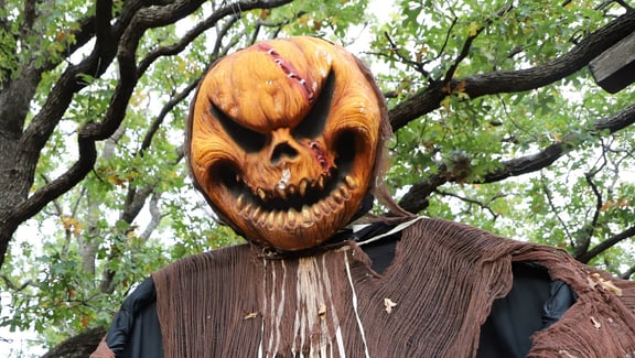 Scarecrow Row