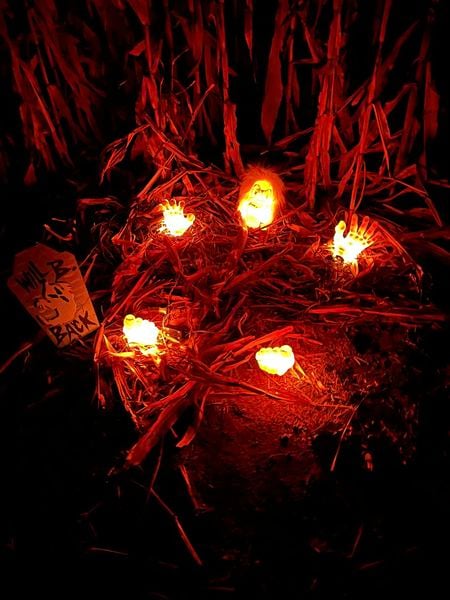 Haunted Corn Maze