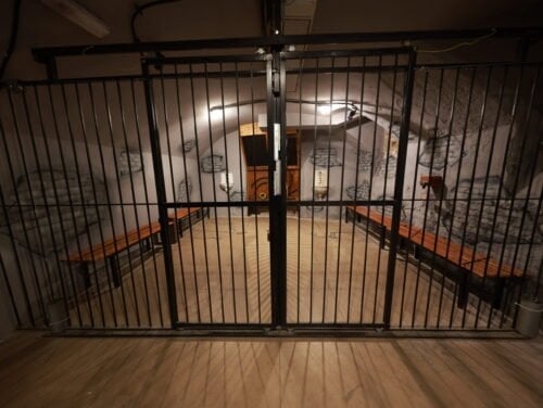 Börtöncsapda [Prison Trap]