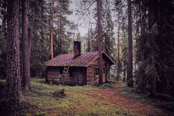 The Cabin