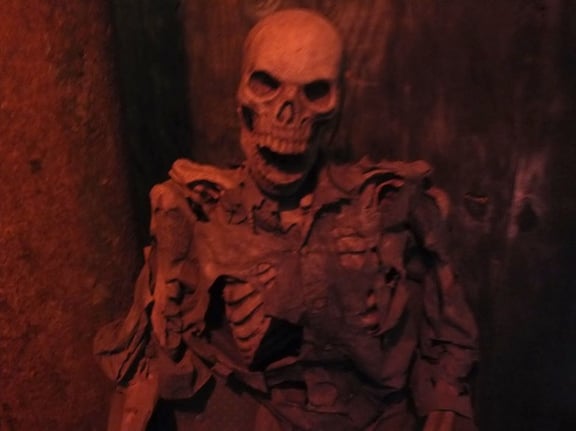 Piedmont Avenue Pumpkin Patch Haunted House