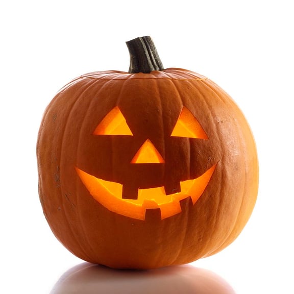 Halloween Haunts