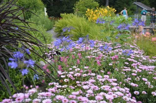 Escape The Garden [Outdoor]