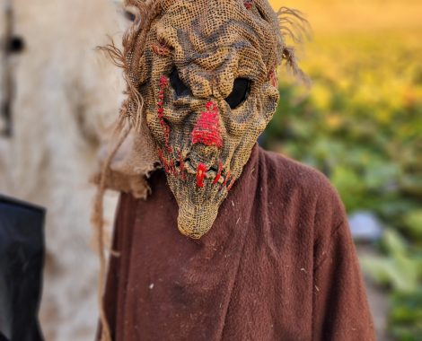 Burley Haunted Maze