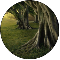 The Faery's Hemlock