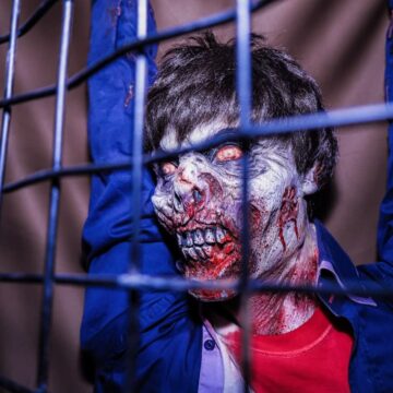 Помста Бернарда – Заражена Зона [Bernard’s Revenge -Infected Zone]