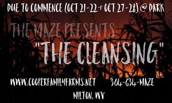 The Cleansing
