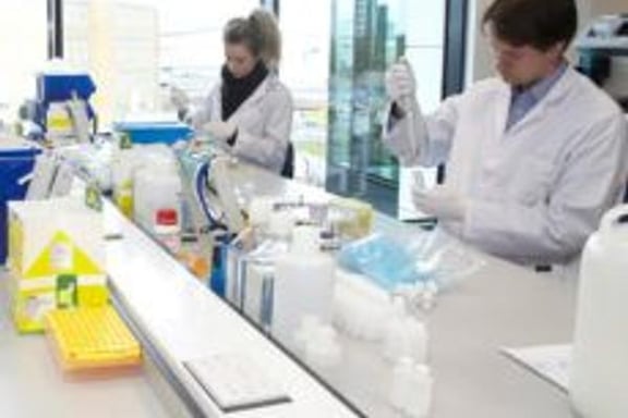 The Laboratory