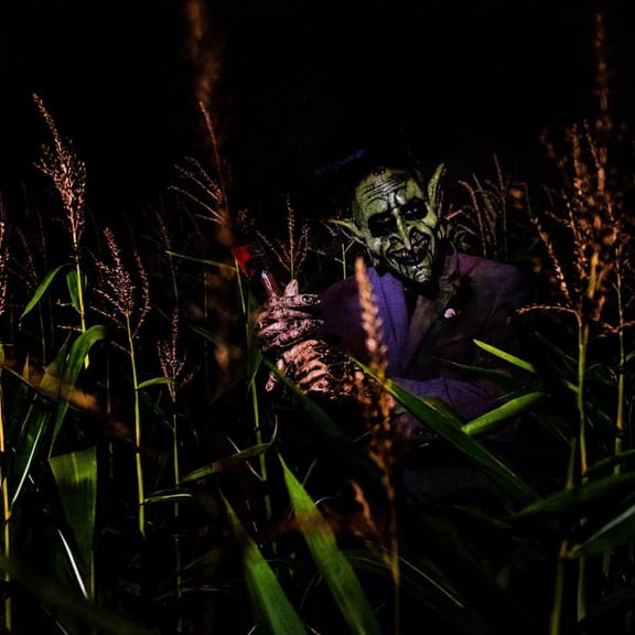 The Stalking Dead