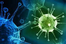 Virus