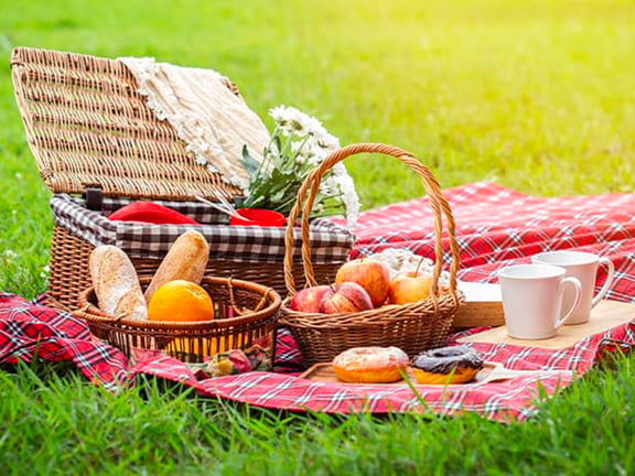 Picnic In The Park