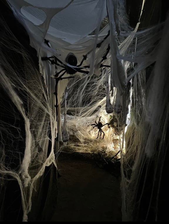 Scream In The Dark