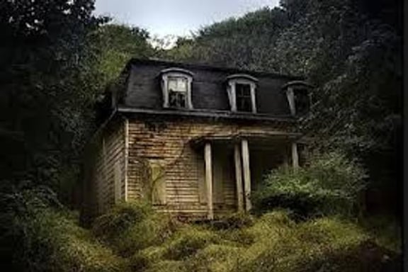 House in the Woods