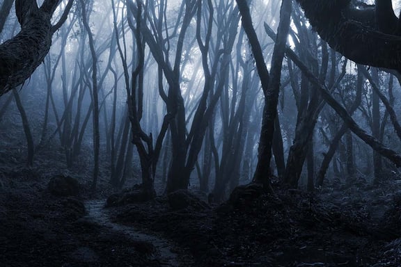 Three Nights Of Terror