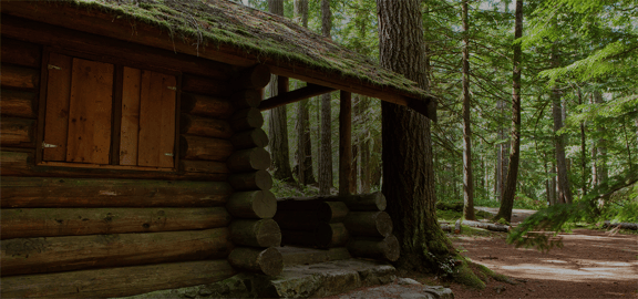 Woodsman Breakout