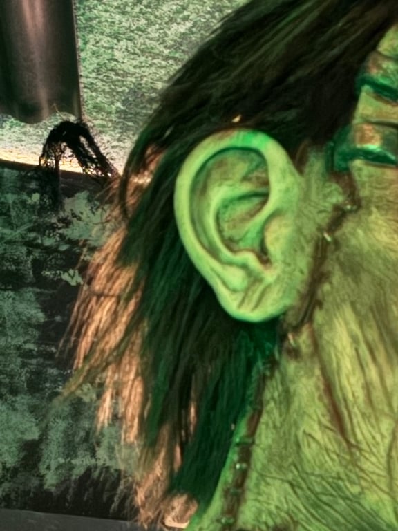 Frankenstein's Reanimation Chamber