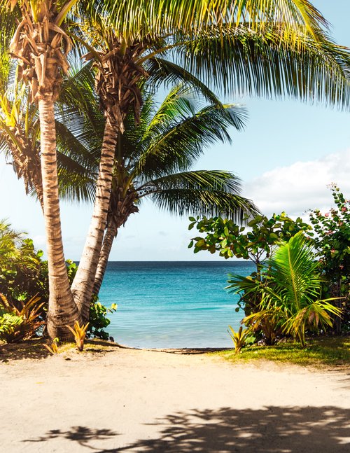 Island Escape