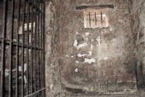 The Asylum