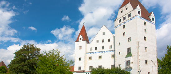 Ingolstadt Phönix [Ingolstadt Phoenix] [Outdoor]