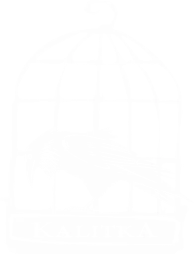 Szabadulás Királyvárból [Liberation From King's Castle]