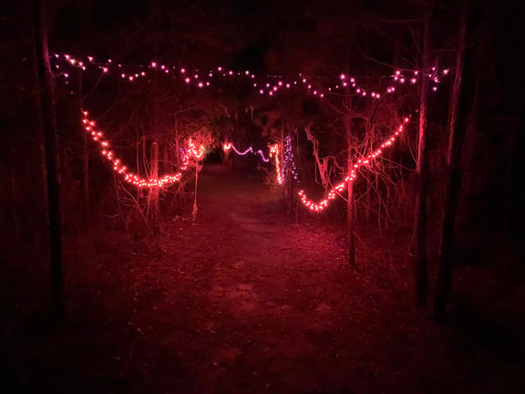 Wicked Woods of Wheeler