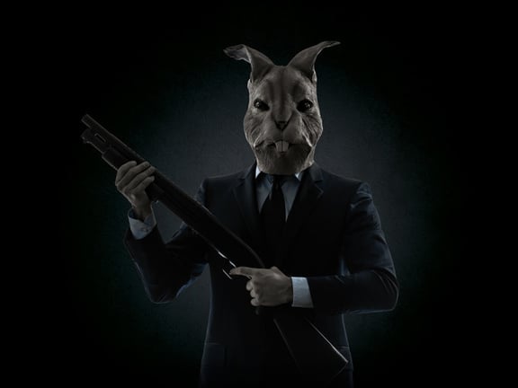 Rabbit6