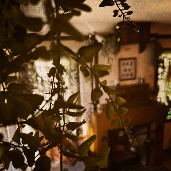 The Apothecary