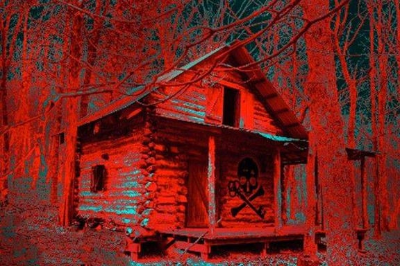 The Cabin