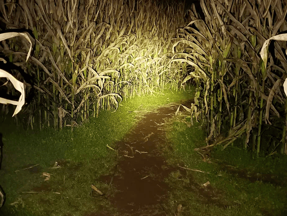 Flashlight Maze