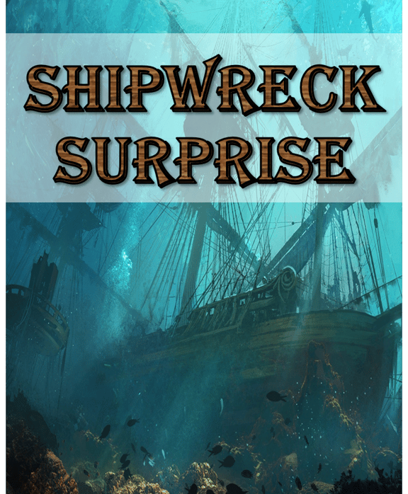 Shipwreck Surprise