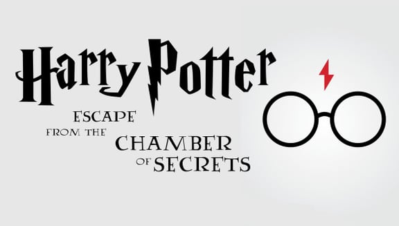 Harry Potter Escape from the Chamber of Secrets