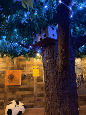 Operation Treehouse