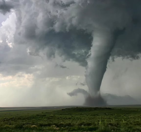 Twister!