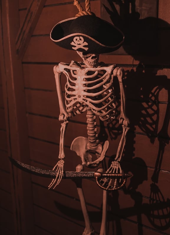 Pirates Queen Anne's Revenge