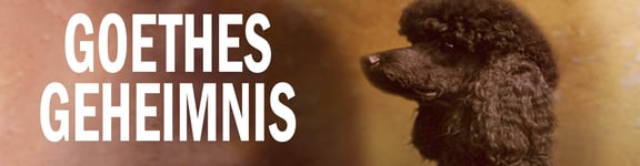 Goethes Geheimnis [Goethe's Secret]