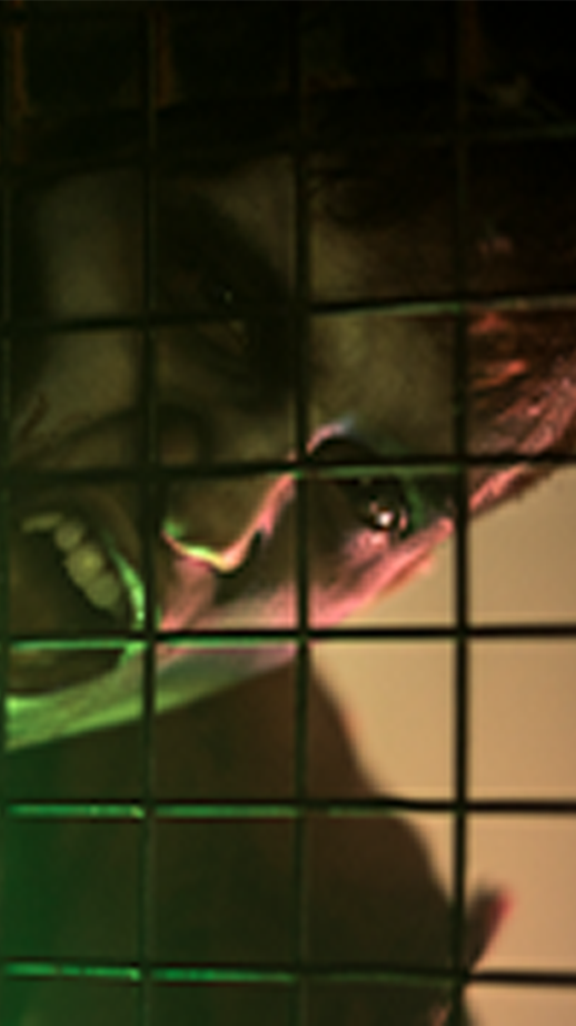 Wreck-Cage