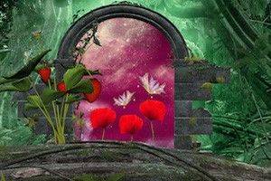 Through the Looking Glass