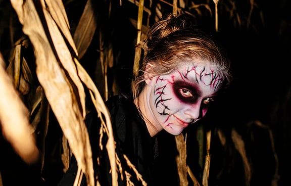 Fields Of Fear