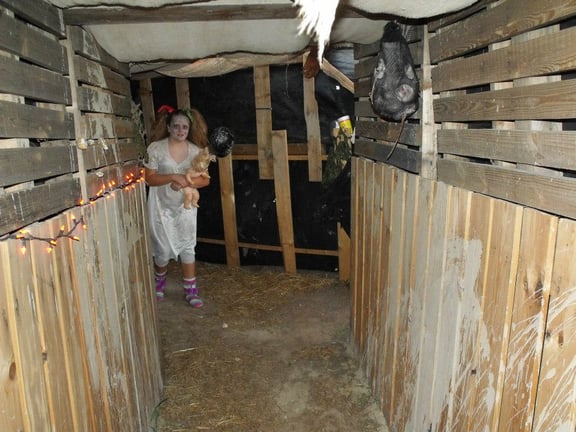 Haunted Museum