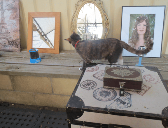The Incredible Shrinking Room
