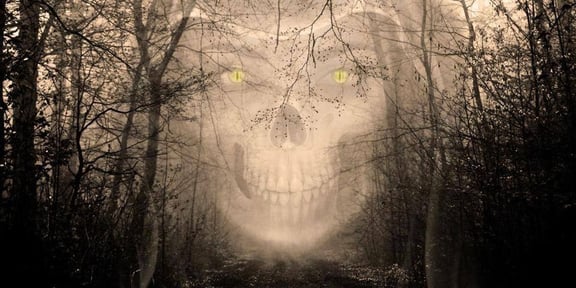 Haunted Forest Adventures