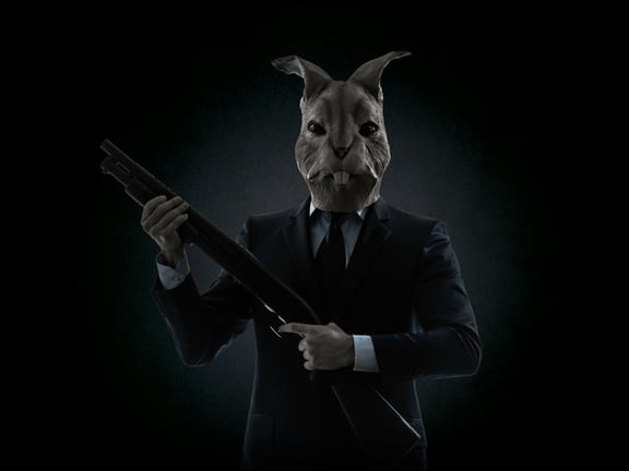 Rabbit6