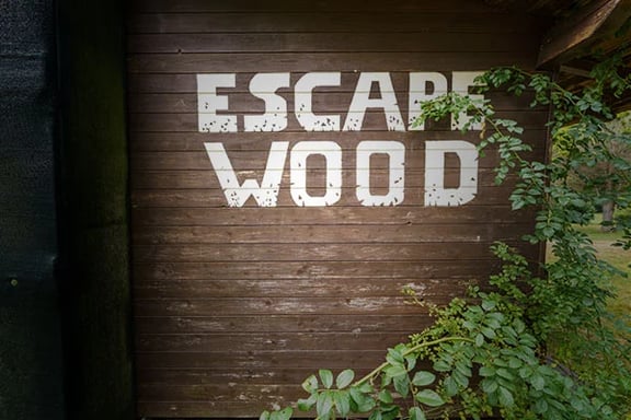 Escape Wood: Lumberjack [Outdoor]