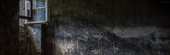 De Alpha Bunker [The Alpha Bunker]